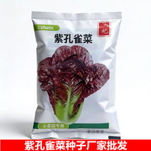 ���ߴ�9x12cm���m���߲˷N���Ͽ�ȸ���ѷN��ͥ��@�Nֲ�S�����l