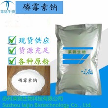 磷霉素钠 含量99%CAS  26016-99-9  磷霉素 现货供应