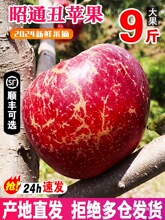 �����ͨ�г��O��ˮ�����r���䮔��10�︻ʿ�����O���t¶�Bͨ���]