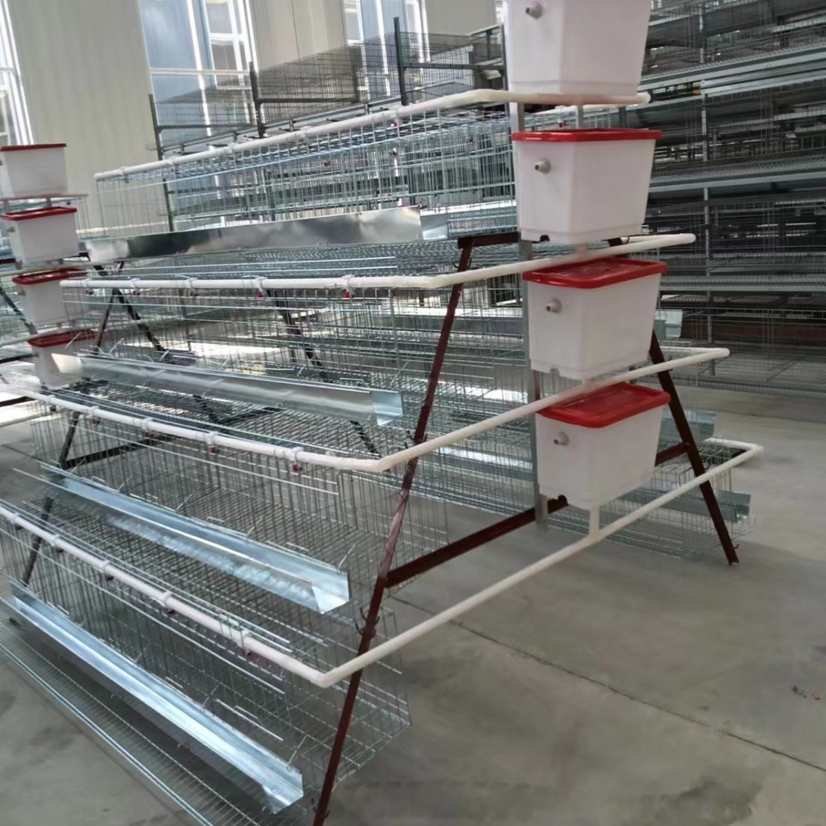 Accesorios para equipos de cría de hierro tanque de alimentación tanque de alimentación de gallinas codorilla de cría tanque de alimentación fábrica al por mayor
