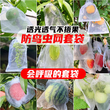 水果套袋防蟲防鳥網套袋葡萄無花果瓜果保護袋果袋紗網果樹罩
