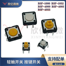 B3F-1000 1052 4000 4005 4055 Wķp|_Po4_I_P