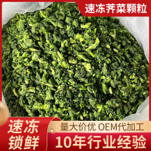 厂家供应速冻荠菜 荠荠菜 冷冻荠菜饺子馅荠菜可代加 工