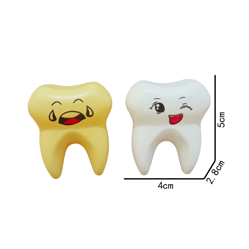 Children's simulation dental dental medical tools toothbrush toothpaste play house toys kindergarten science and education dental model wholesale