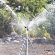 ?�u�۔[�Ԅ����D�@�ֈ@ˇ��ȇ��� 46�������p���쿹�ϻ���̫��