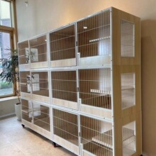 ؈�\�����\���ӌ���ꌍľ؈�\���ɿ��g�����҃ȃɌ�؈��؈��