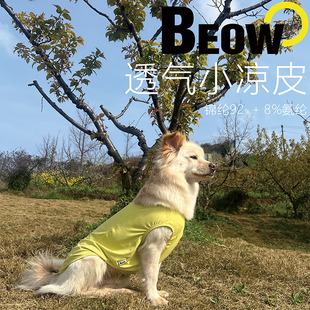 BEOW���������·�������ٸ��p��͸��С�д���Ȯ�����ļ�С����