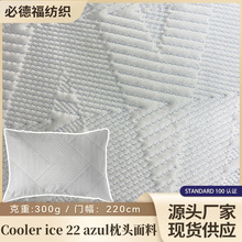 ᘿ՚300g cooler ice 22 azulwб^