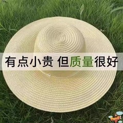 麦わら帽子 大きめ 農業用 日よけ 屋外 工事現場 つば広帽子 農民 田園 漁師