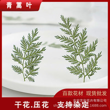 �����~ ���~�ɻ������Gɫֲ��˱�DIY���z��޹Ϟ�T���~���֎��ɻ�