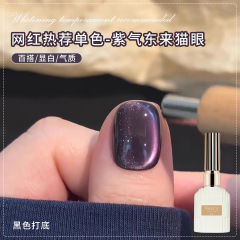 紫气东来猫眼指甲油胶2025年网红新款星空紫玻璃珠猫眼美甲店批发
