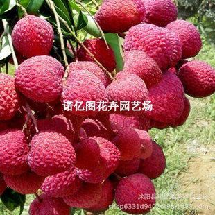 �`ɽ�������M��Ŵ���ٟo����֦����ˮ�����Ϸ�ͥԺ���ԷNֲ������