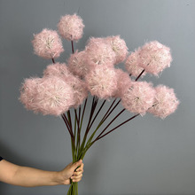 ����10cm�ѹ�Ӣ���滨�Ҿ��b�c��Ʒ�����쾰�ٻ��ѹ�Ӣ���[��