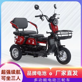 电动三轮车;电动代步车;其他电动车