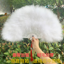 ������ë�����ɚ�ŵ���������V���赸�Ї��Lëë���ӾW�t���L