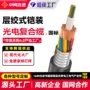铠装综合rvv一体电缆