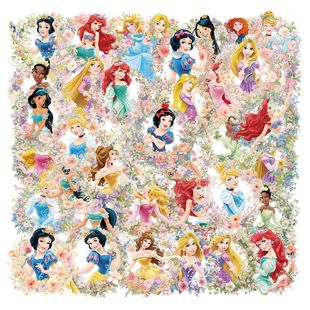 50���羳�¿ͨ���ܹ���PET͸���N������DIY������ˮ���Ɍ��N��