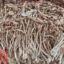 银耳;猴头菇;其他干货