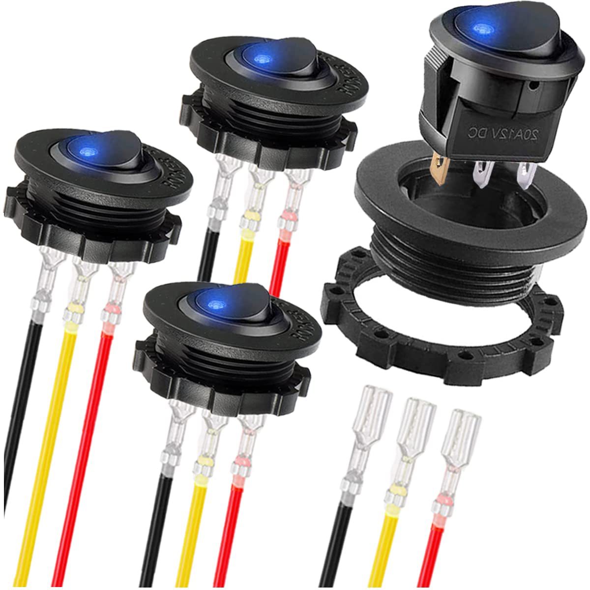 패널 라인이있는 고양이의 눈