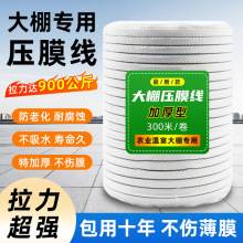 ���Ĥ�K������Ҵ�����Ʒ�Ӻ�����K����ĥ��Ĥ�����ϻ���Ĥ��