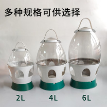 津羽王赛鸽用品鸽具牧鸽人精品喂水饮水器 2L-6L塑料透明鸽子水壶