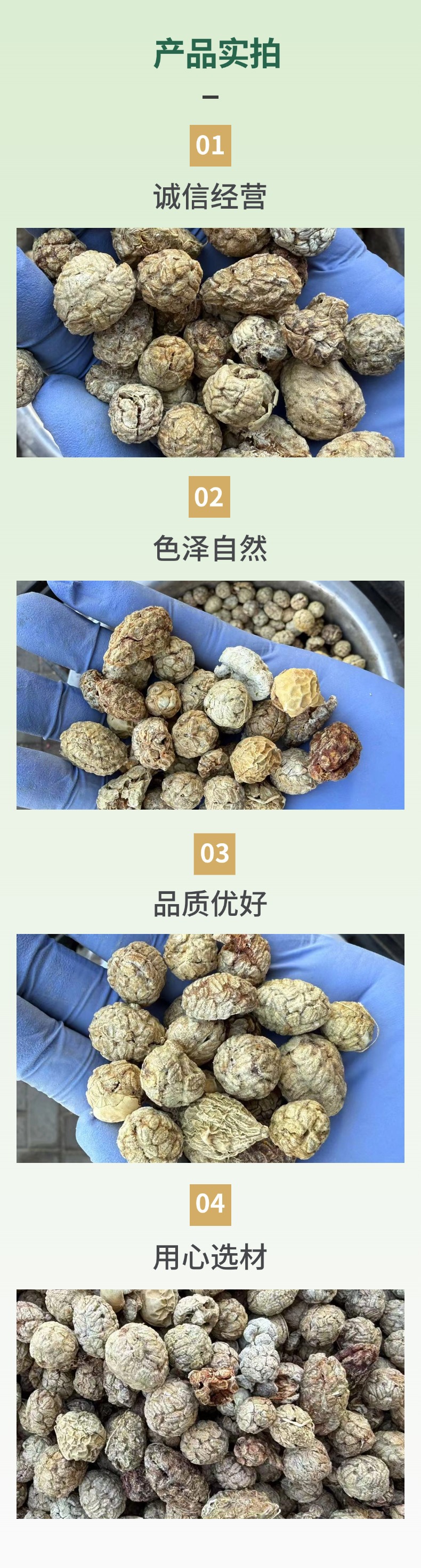 Dried Cao Kou Alpinia Katsumadai Fruit Chinese Spice for Braising and Herbal Cooking 500g specifications