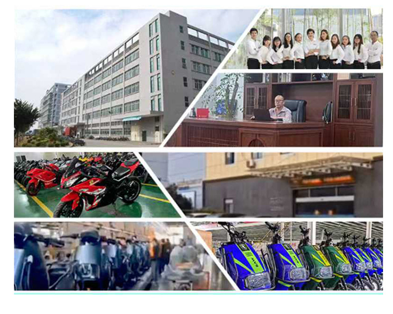 Electric Motorcycle War Wolf 3 Electric Scooter Cross-Border Export Adult Scooter Non-Standard Electric Motorcycle Foreign Trade Manufacturer