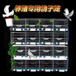 �����Bֳ�\�S�ҹ������\��\�B���O�����\�ɶ�����̖�Rȫ����