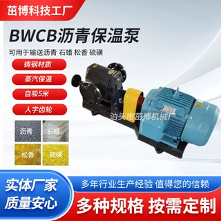 BWCB铸 钢沥青保温泵 石蜡松香硫磺麦芽糖水果糖水泵