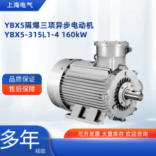 �Ϻ������YBX5-315L1-4 �����������첽���һ����Ч������