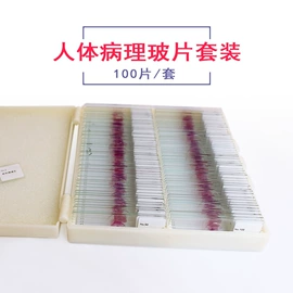 生物教学器材;医药教学器材;实验室仪器