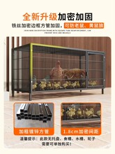 �u�\�û\�F�z�W���Z�����u�\���Bֳ�L��؈�����ԄӲ��P����\��̖