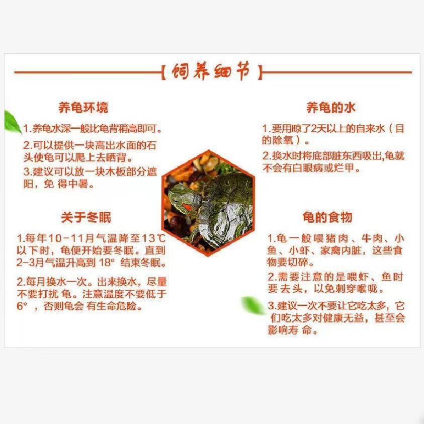 07dd542d-4c54-4bd0-a68f-c3aa55a0e1ed.jpe