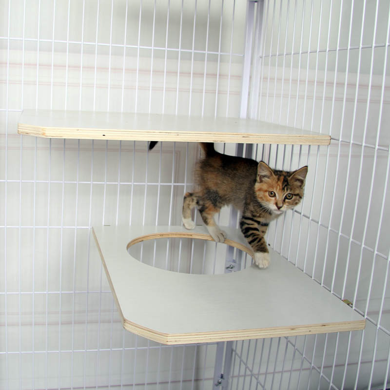 猫籠木のプラットフォームの仕切り板の宇宙透明な猫の巣の猫の穴の猫は棚の猫の跳板の休憩台に登ります。|undefined