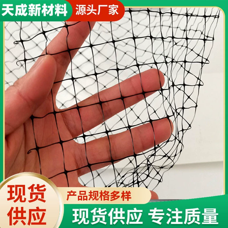 Сельскохозяйственная сетка против птиц, вишневый сад, виноградный сад, рис, блокирующая птица, тепличная овощная нейлоновая сетка от птиц