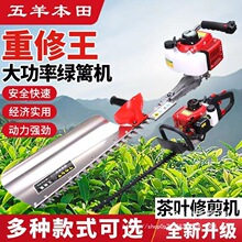 �M�����������;G�h�C������C�����򻨙C�M�h�@�־G��ԭ�b