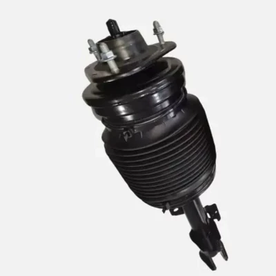 air shock absorber – damping system