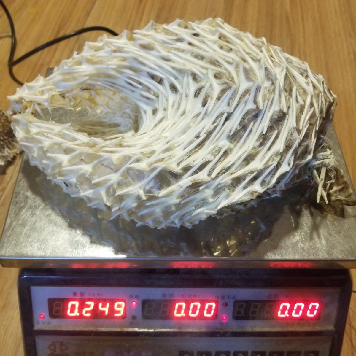 2-3头刺龟皮250g海味干货护胃刺猬鱼皮海鱼皮煲汤盐爆刺龟皮批发