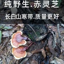 LɽҰ`֥Ȼɽo֥`֥lƬ֦`֥ݾ