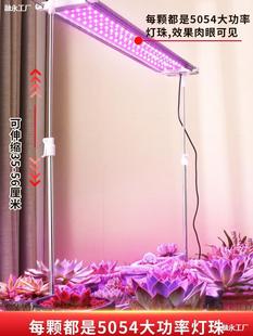 Full-Spectrum Special Fill Light for Succulents, Household Coloring Imitation Sun Indoor Green Plant Special Plant Full-Spectrum Fill Light
