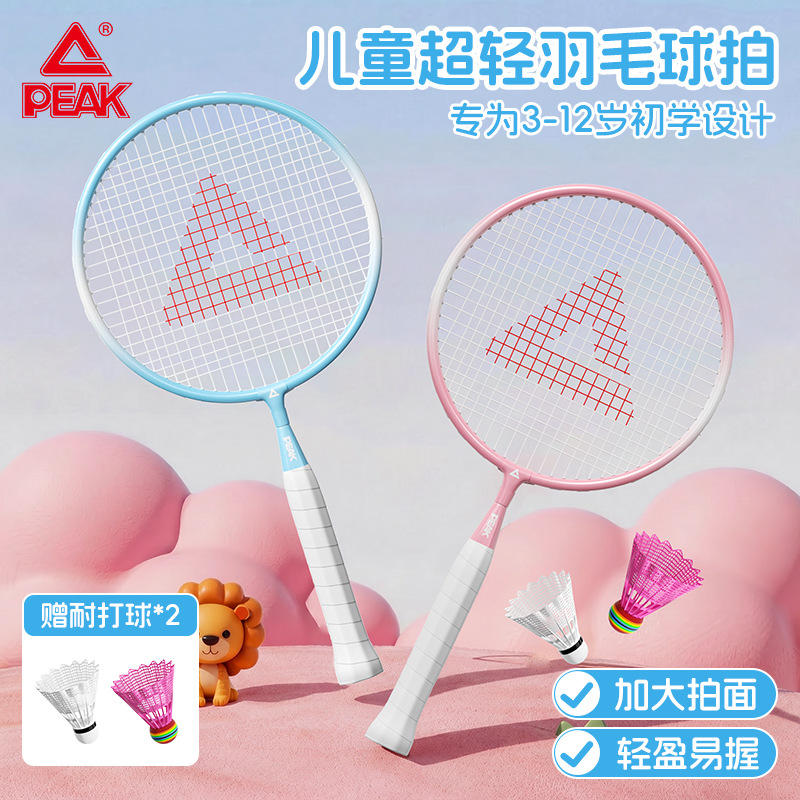 Pike Iron Alloy Badminton Racket Set for Children Aged 3-12, Durable Beginner's Sports Set with 2 Balls Included