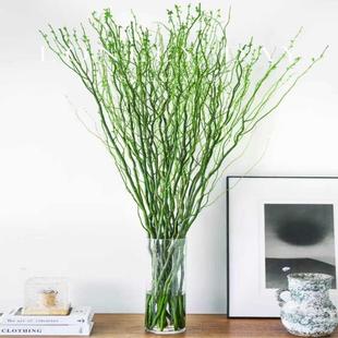 ˮ���҃�ֲ���r֦ˮ�������Gֲ�҃ȿ͏d�������[�b��˺��B����