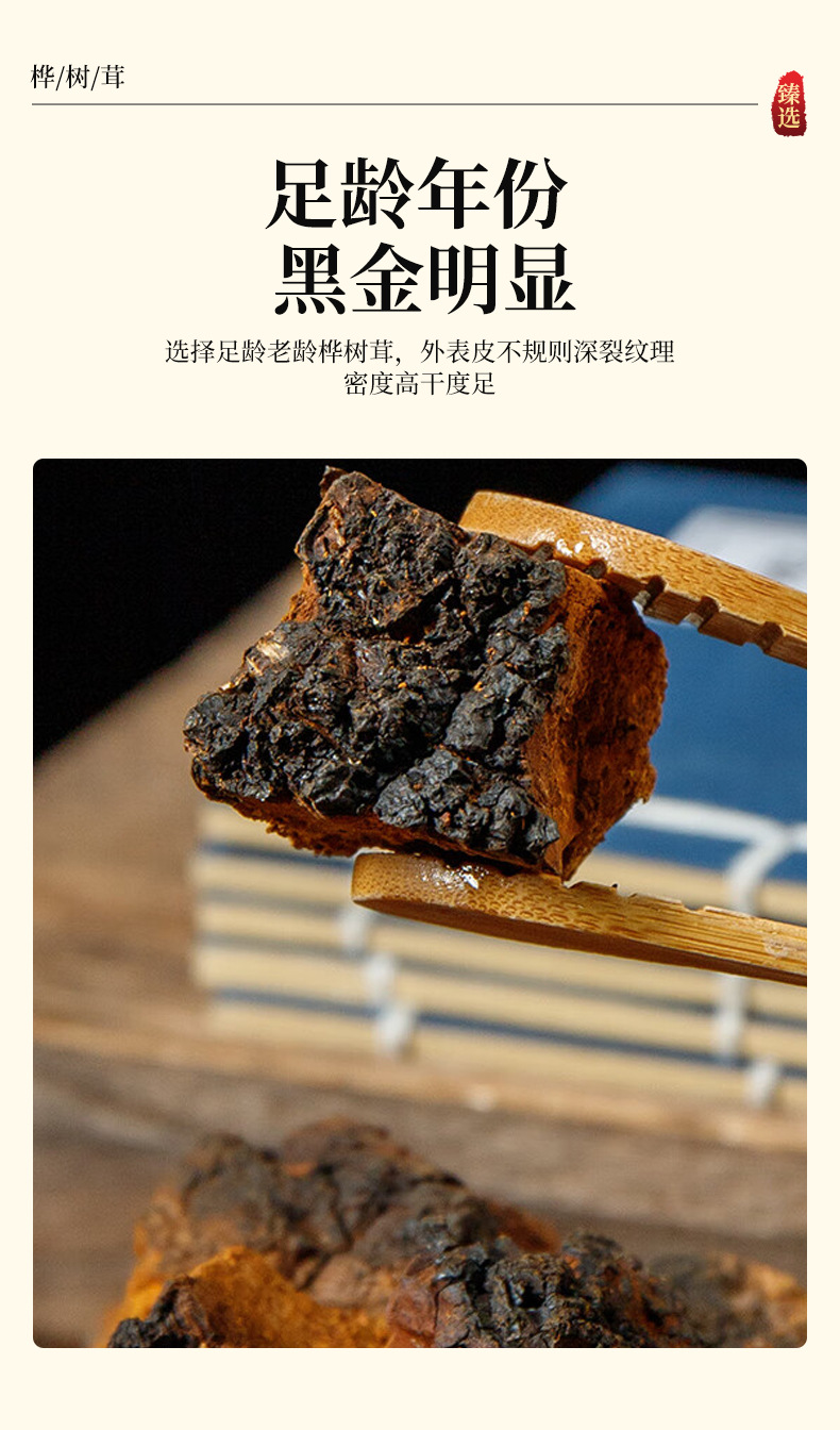 Chaga Mushroom Granules Hua Shu Rong 250g Dried Birch Conk Chunks for Herbal Tea and Decoction specifications