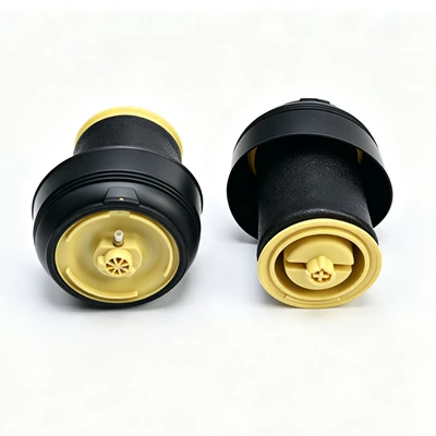 springs/rear shock absorber air bags: damping system