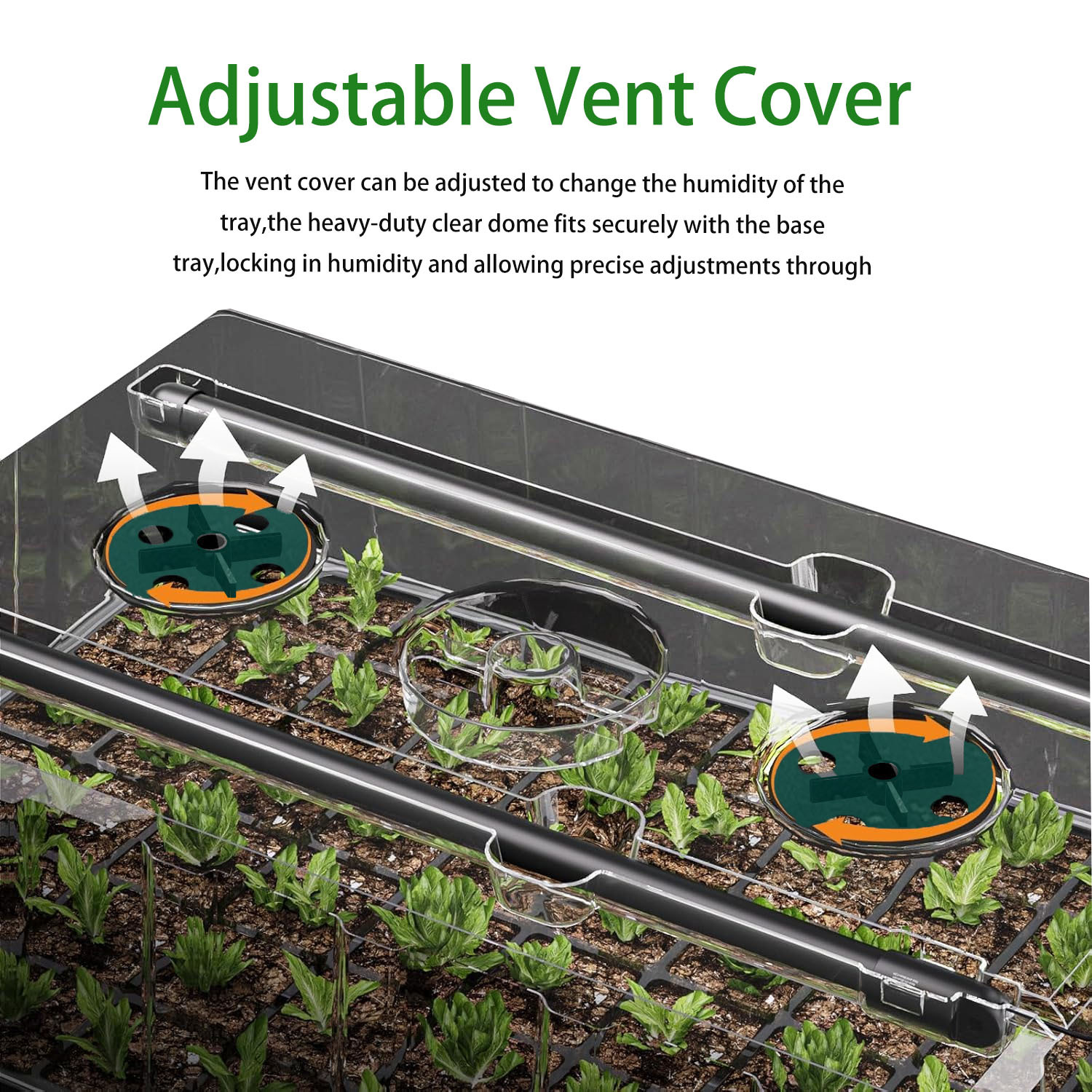 2f11598f601edc636a3a74105e796e