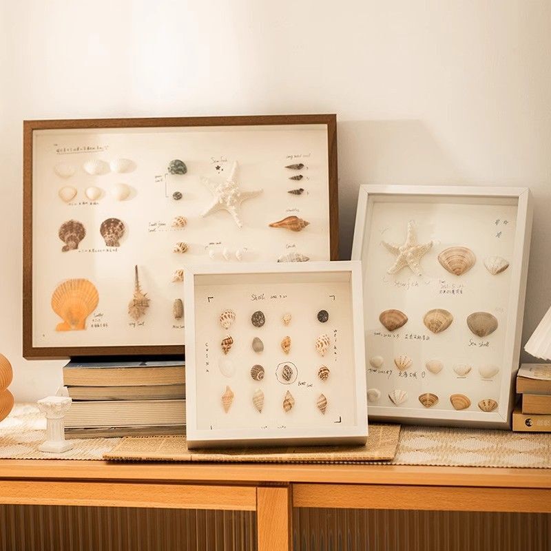 Shell Photo Frame Hollow Stereo Specimen Display Frame DIY Handmade Table Seaside Conch Starfish Creative Ornaments Shell Photo Frame Hollow Stereo Specimen Display Frame DIY Handmade Table Seaside Conch Starfish Creative Ornaments