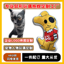 异形玩偶抱枕定制一个起批印LOGO图案毛绒无白边人形丑猫一件代发