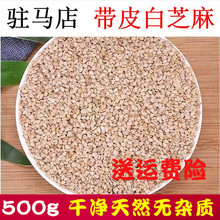 严/选驻马店500g生白芝麻新货带皮芝麻油芝麻干净无沙免洗可榨油