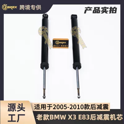 absorber mechanism, rear strut – damping system