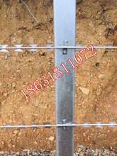 ֱ���͵�Ƭ���K�T�R���F�z�W�̶����̾W���ӹ̶��A���P����